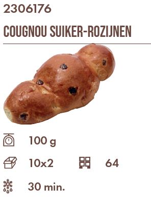 Kerst Cougnou Suiker Rozijnen