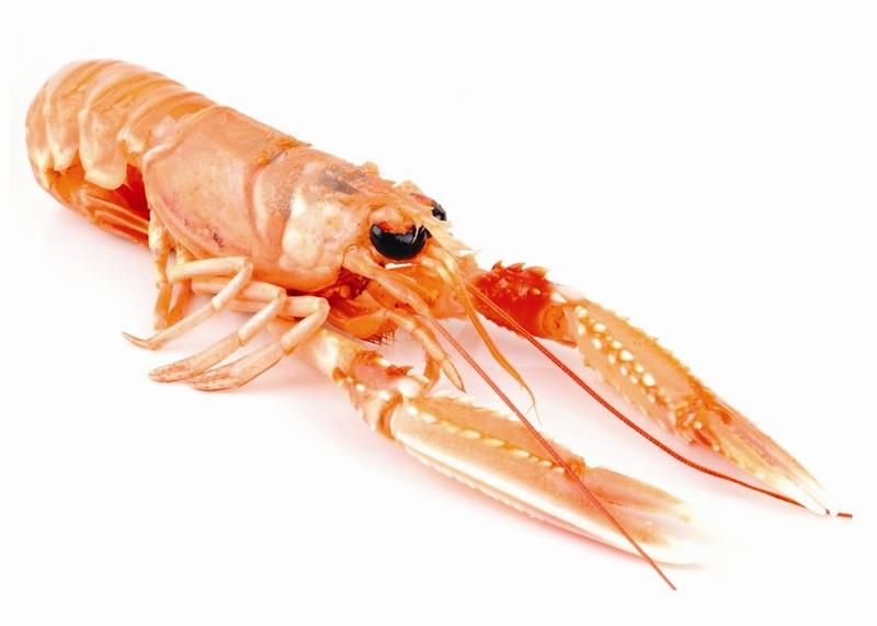 Langoustines rauw 8/12 800g