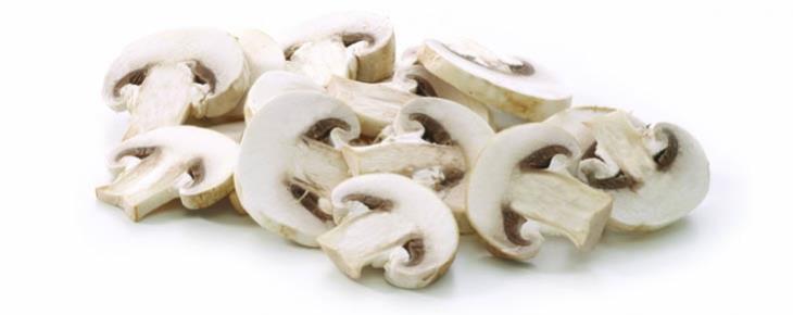 Champignon  schijfjes Hotel 2.5 kg h/p