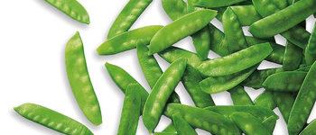 Peulerwten Mange-Tout  2.5kg PP