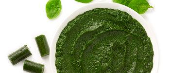 Spinazie Puree 50gr PP