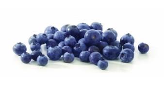 Bosbessen Myrtillen 1kg