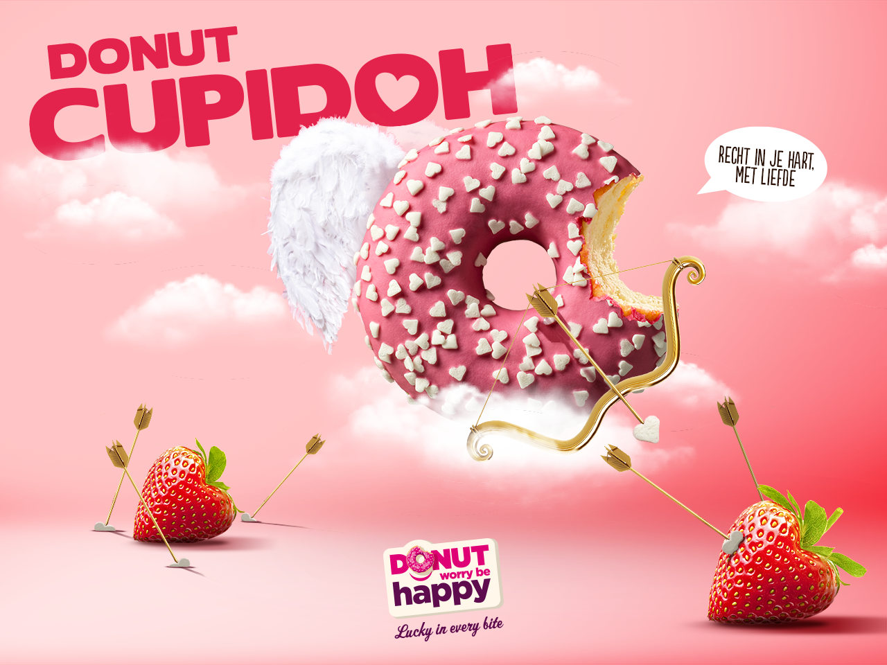 Donut Cupidoh 48x56g
