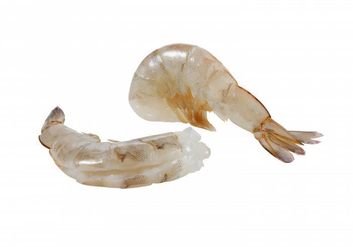 Scampi VNN Easy Peel 16/20 RC 1kg