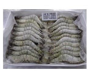 Gamba VNN 40/50 semi-IQF 2kg