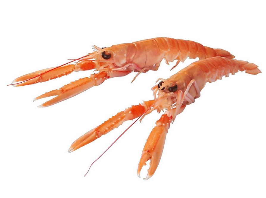 Langoustines rauw 16/20 1kg