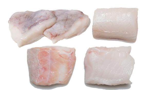 Noordzeevisserspotje 16kg (4 soorten)