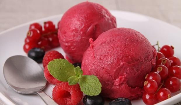 Sorbet Cassis woudvruchten cadi 2.5L Missault