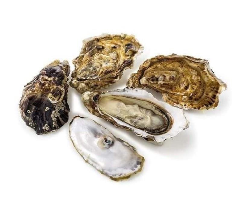 Oesters geheel diepvries 120 stuks